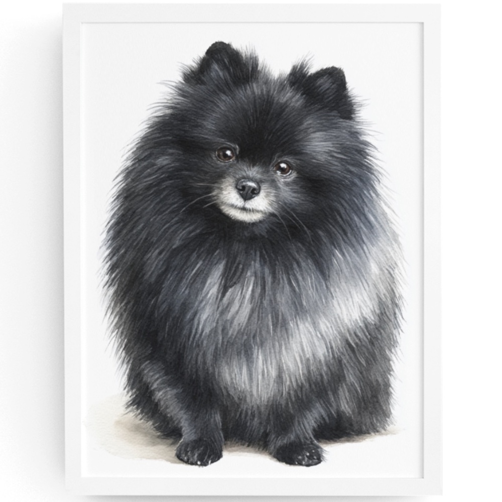 Watercolor Black Pomeranian Dog Portrait Art Print – Unframed Fine Art Poster